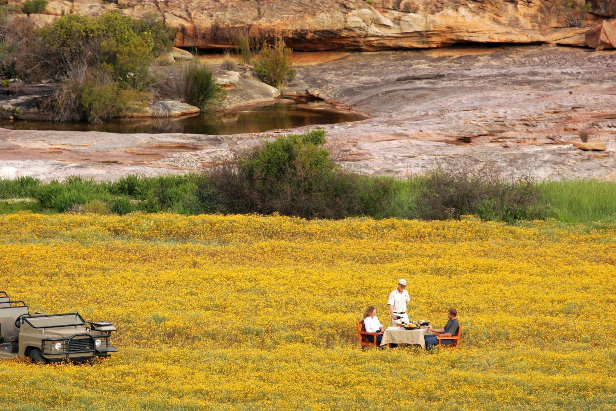 Bushmans Kloof Wilderness Reserve And Wellness Retreat Клануильям Экстерьер фото