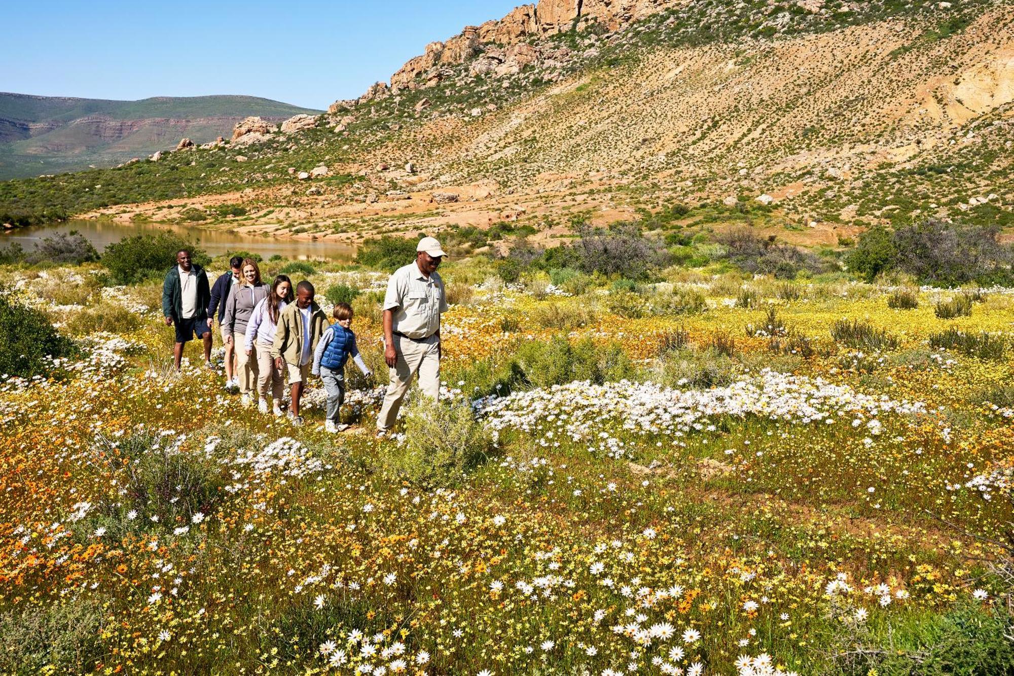 Bushmans Kloof Wilderness Reserve And Wellness Retreat Клануильям Экстерьер фото